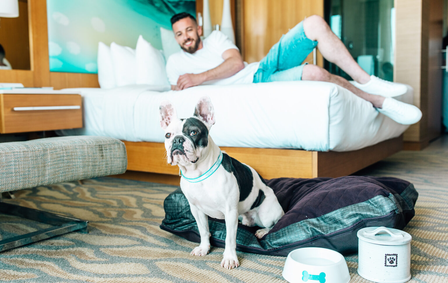 Best Dog Friendly European Hotels – Around UK!